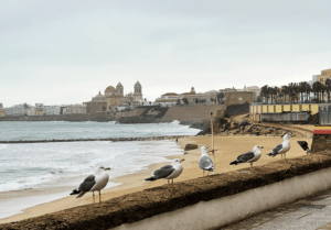 ¿Buscas un coworking en Cádiz?