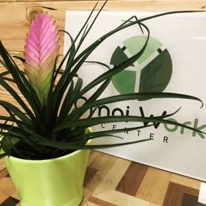 Imagen decoración de nuestro coworking en Cádiz.